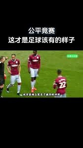 以独树一帜